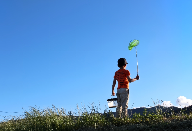 車にいたずらする子供に注意したい!親が認めない時どうしたらいい?|嫌がらせ解決調査事例