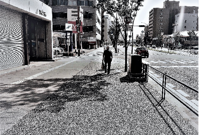 高齢の父が知らない女性と頻繁に外出|30代女性からの調査相談