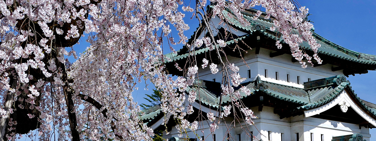 青森県の案内ページの画像