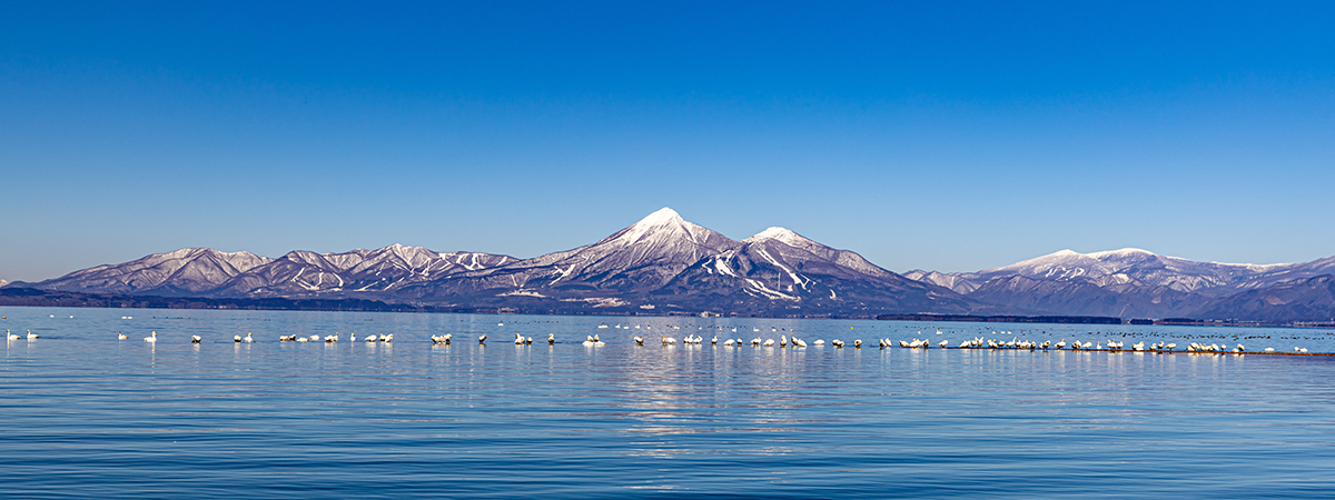 福島県の案内ページの画像