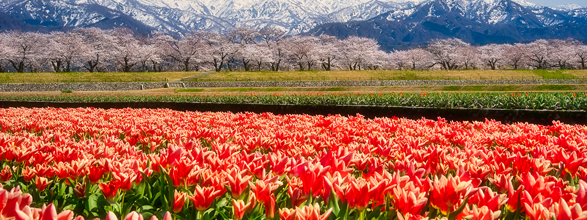 富山県の案内ページの画像