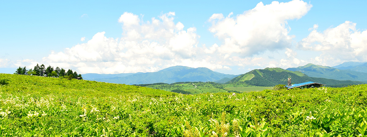 長野県の案内ページの画像