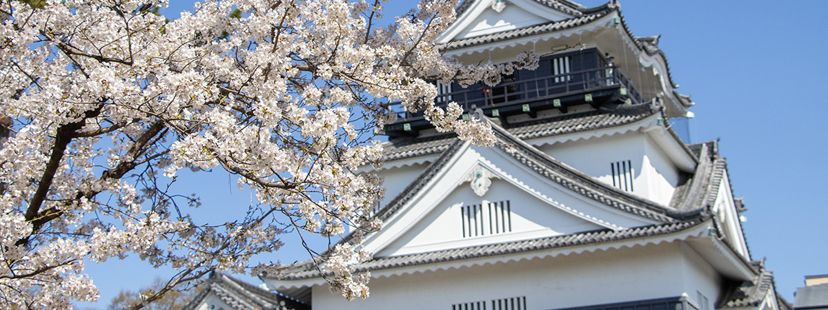 静岡県の案内ページの画像