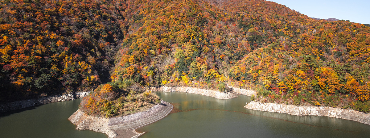 滋賀県の案内ページの画像