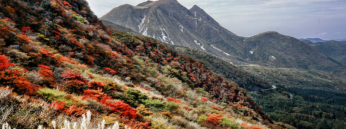 熊本県の案内ページの画像