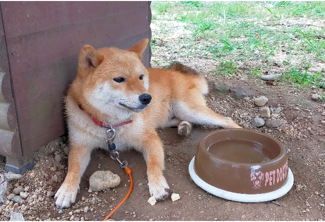 タイトル画像