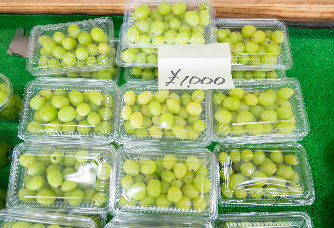 盗まれたシャインマスカットが都内で販売されている？｜農家男性からの調査相談