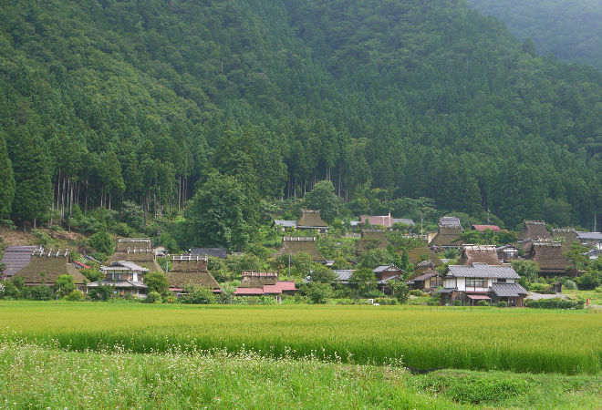クマ出没地域に一人で暮らす父が心配|50代女性からの調査相談