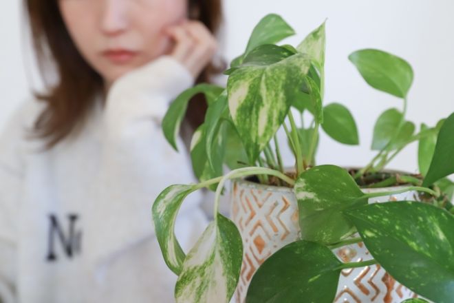 頬杖を突く女性。父が介護職員に盗まれたと訴える…認知症の誤認?それとも本当の盗難?|40代女性からの調査相談。