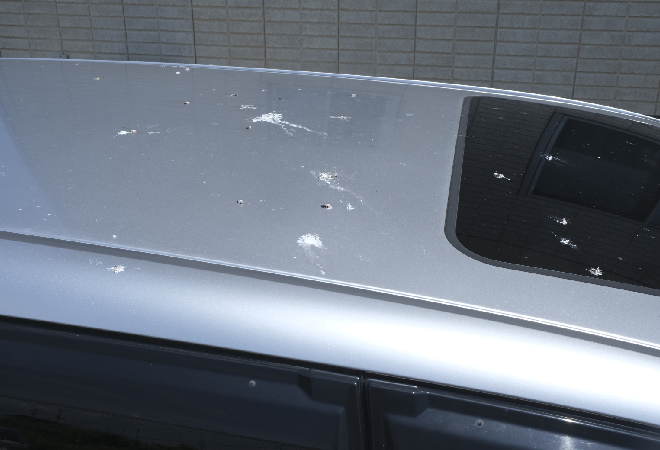 車のボンネットについた鳩のフン。