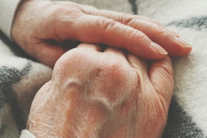 社会人の息子が帰省しなくなった…|70代女性からの調査相談。